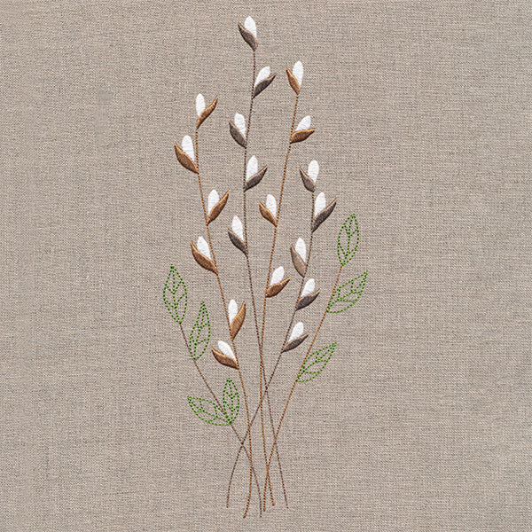 Delicate Pussy Willow Branches