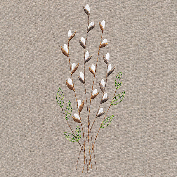 Delicate Pussy Willow Branches