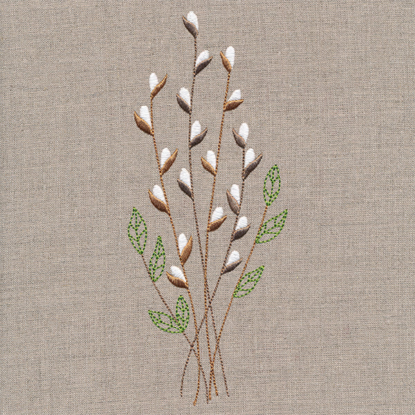Delicate Pussy Willow Branches