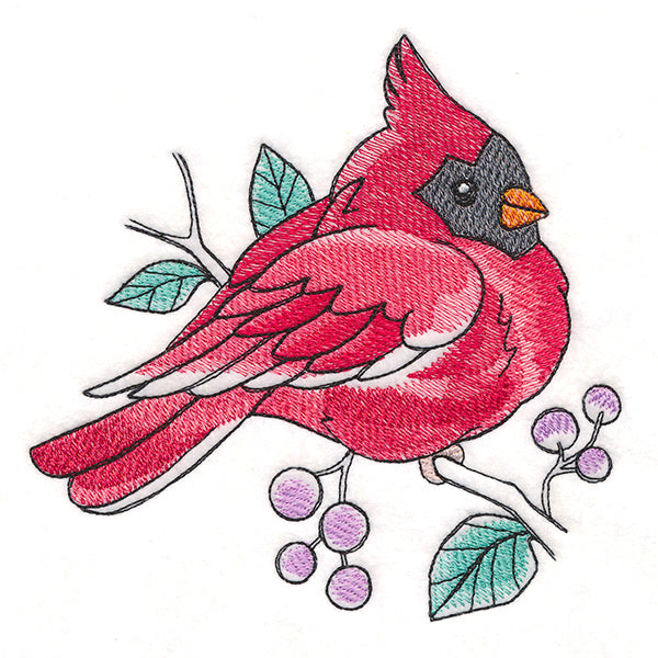 Sweet Spring Cardinal