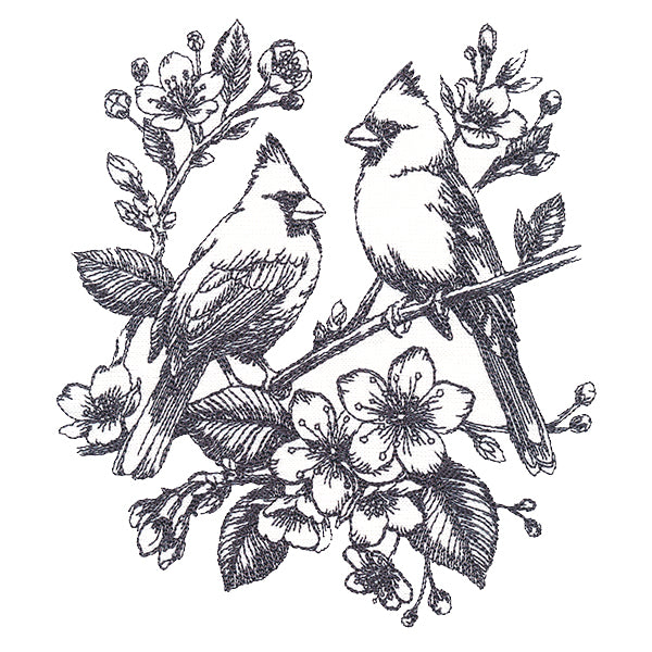 Antique Elegance Cardinal Etching