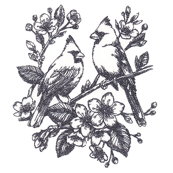 Antique Elegance Cardinal Etching