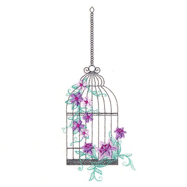Delicate Birdcage 2