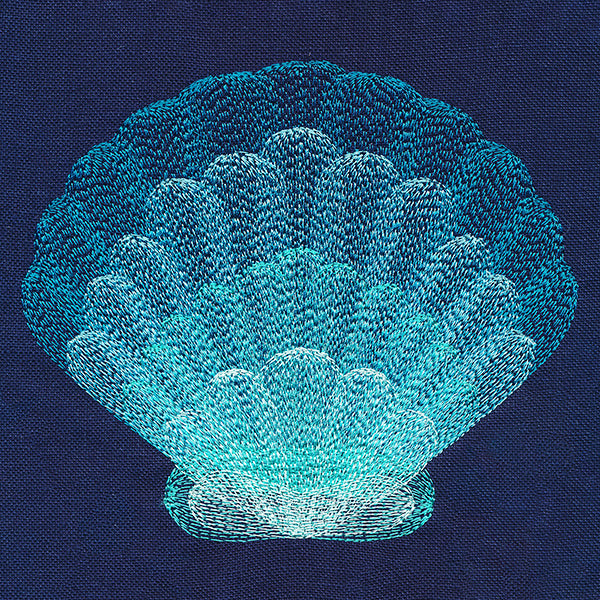 Stunning Scalloped Shell