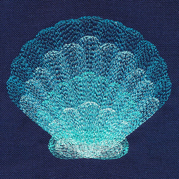 Stunning Scalloped Shell