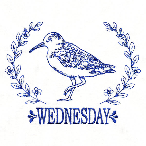 Coastal Sandpiper on Wednesday