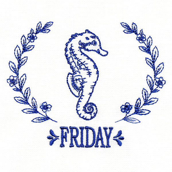 Coastal Seahorse on Friday