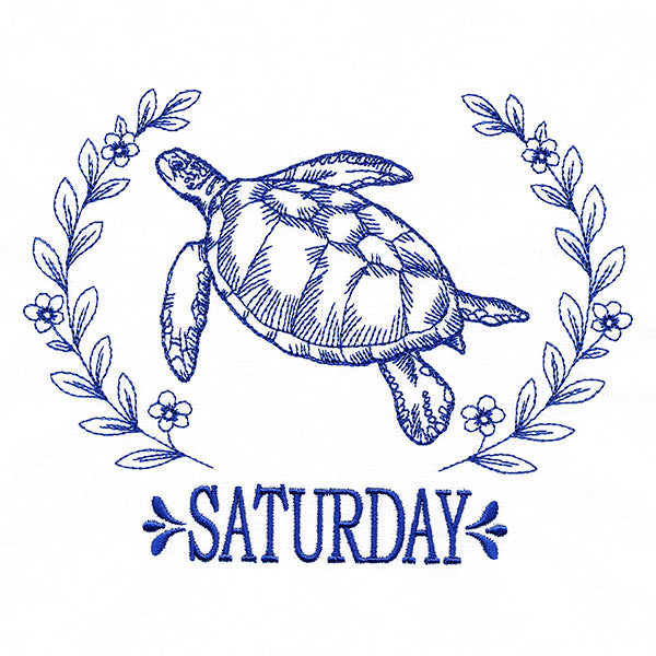Coastal Sea Turtle on Saturday