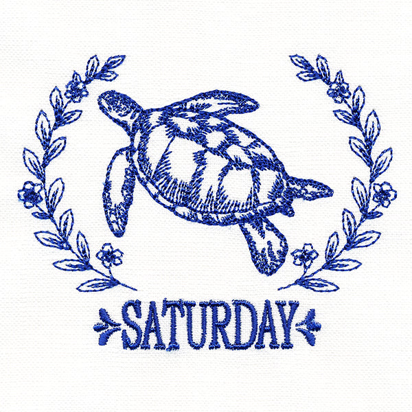 Coastal Sea Turtle on Saturday