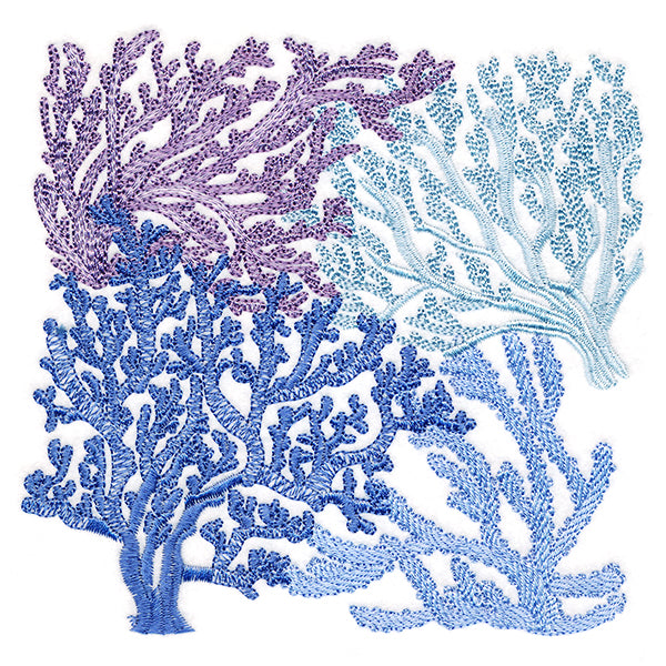 Dreamy Coral Collage