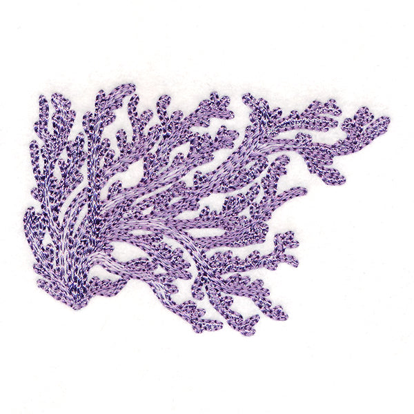 Dreamy Coral 4