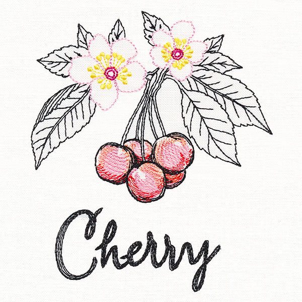 Botanical Fruits & Flowers - Cherries