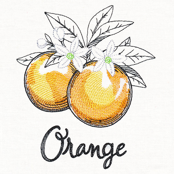 Botanical Fruits & Flowers - Oranges