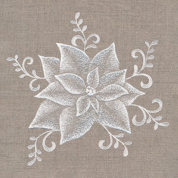 Elegance in Bloom Poinsettia