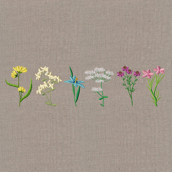 Delightful Wildflower Border