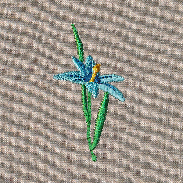 Delightful Wildflower 3