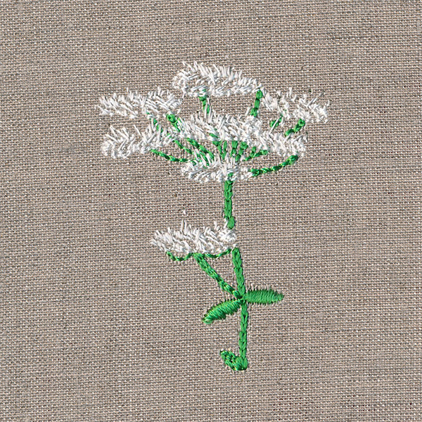 Delightful Wildflower 4