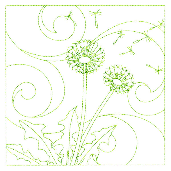 Delicate Wildflowers - Dandelion