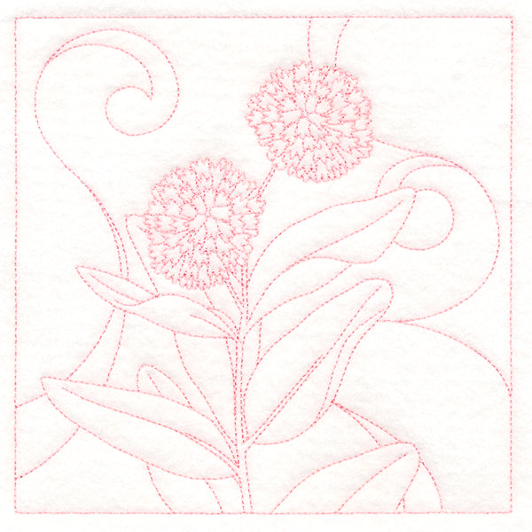 Delicate Wildflowers - Milkweed