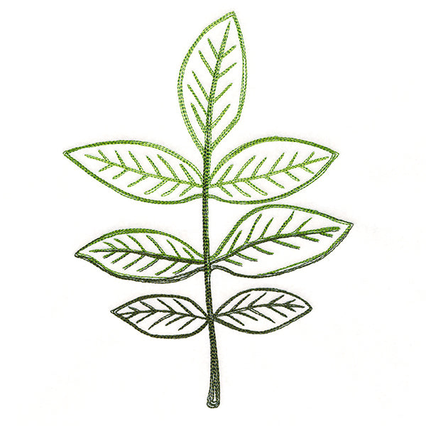 Autumn Ambience - Walnut Leaf