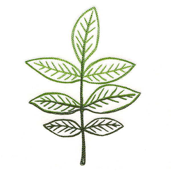 Autumn Ambience - Walnut Leaf