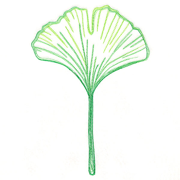 Autumn Ambience - Gingko Leaf