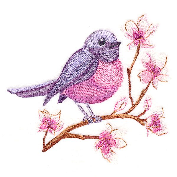 Sweet Pink Robin in Watercolor