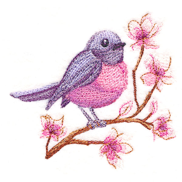 Sweet Pink Robin in Watercolor