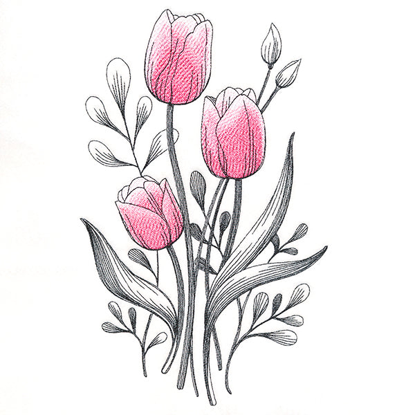 Lovely Tulip Etching