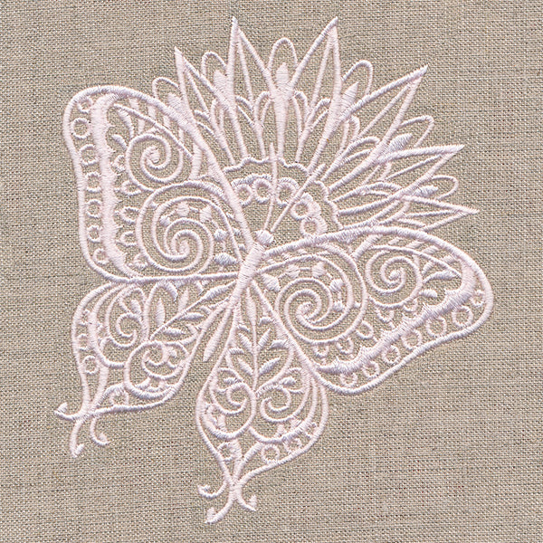 Lovely Butterfly on Bloom