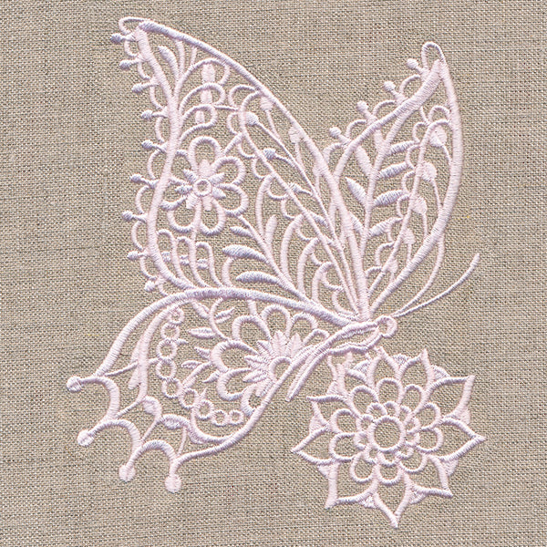 Delicate Butterfly on Bloom