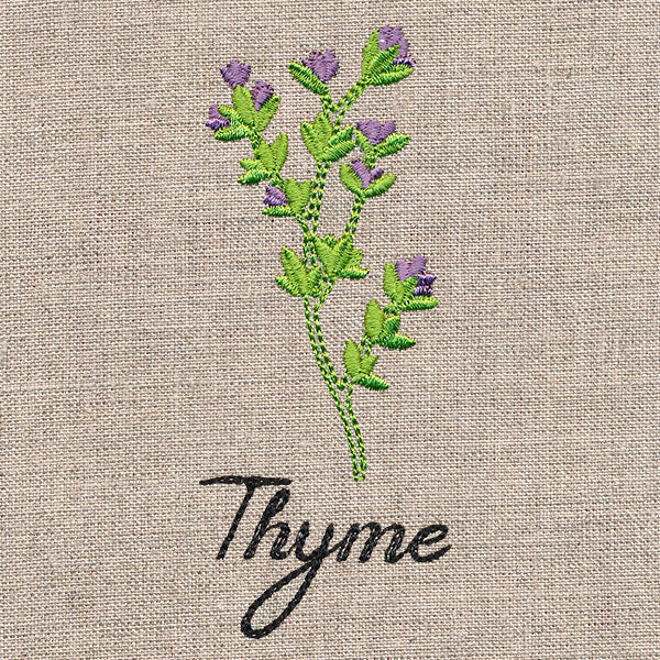 Botanical Herbs - Thyme
