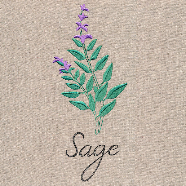 Botanical Herbs - Sage