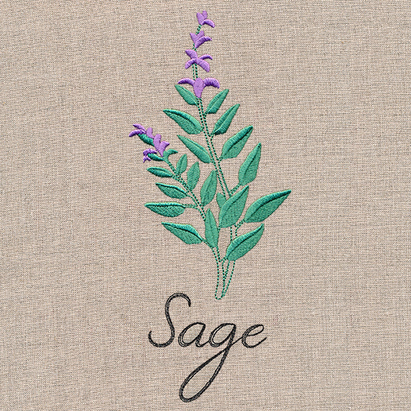 Botanical Herbs - Sage