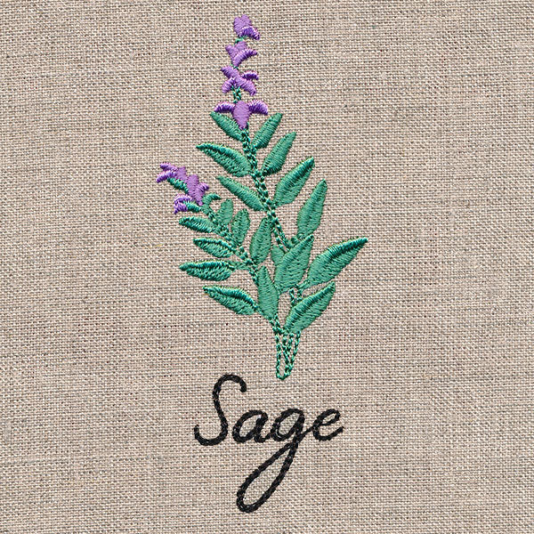 Botanical Herbs - Sage