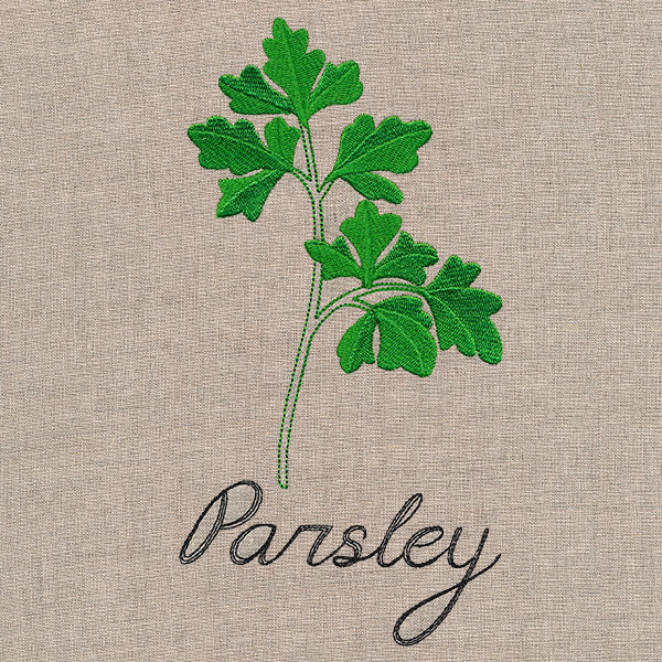 Botanical Herbs - Parsley