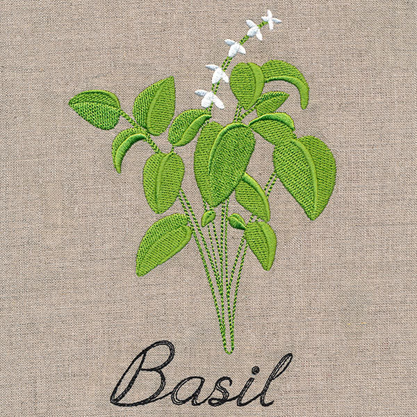 Botanical Herbs - Basil