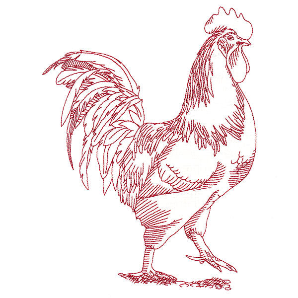 Barnyard Etchings - Rooster