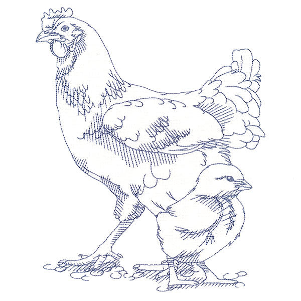 Barnyard Etchings - Hen and Chick
