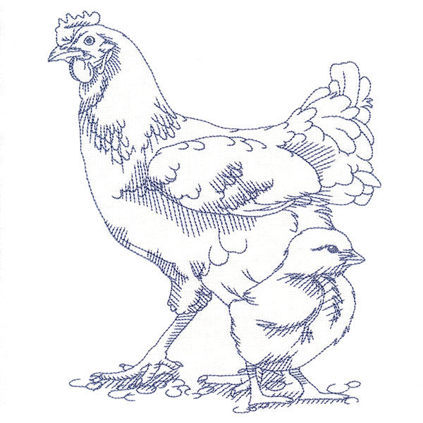 Barnyard Etchings - Hen and Chick