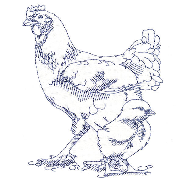 Barnyard Etchings - Hen and Chick