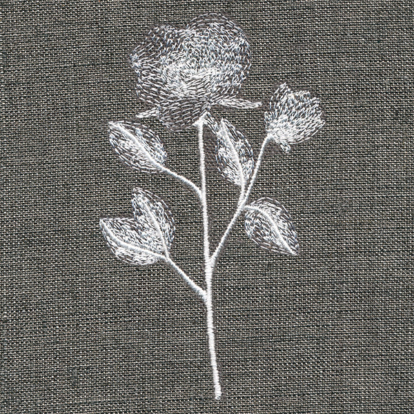 Sheer Beauty Botanicals - Roses