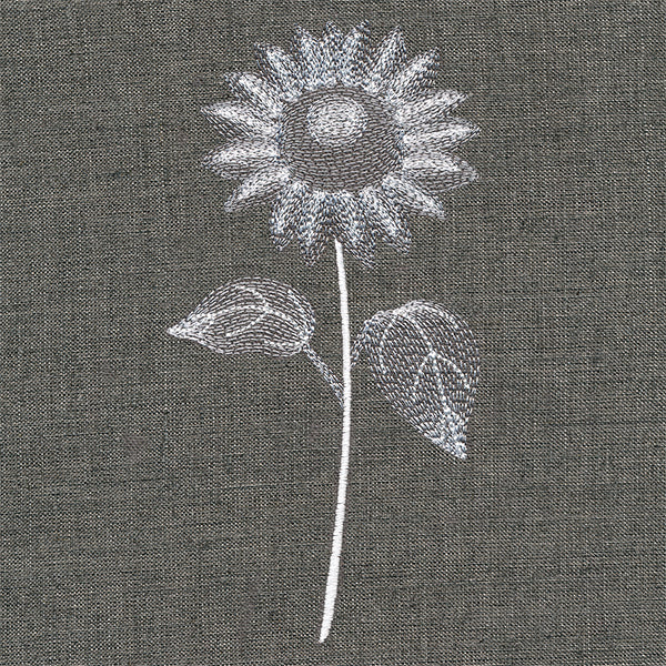 Sheer Beauty Botanicals - Sunflower