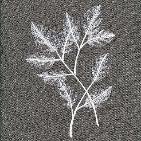 Sheer Beauty Botanicals - Rose Leaves