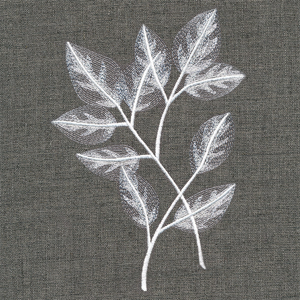 Sheer Beauty Botanicals - Rose Leaves