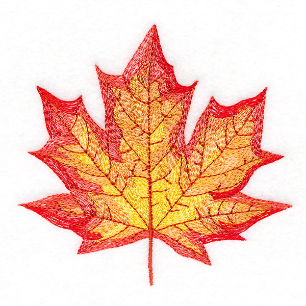 Magnificent Maple Leaf