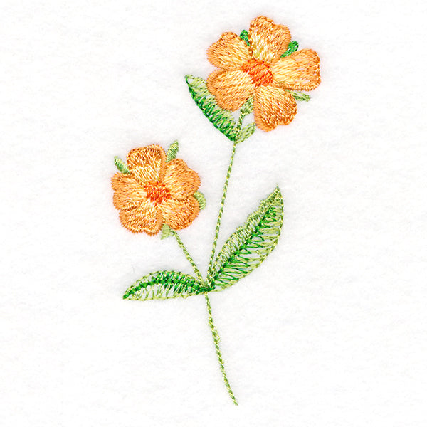 Long-Stemmed Wild Rose