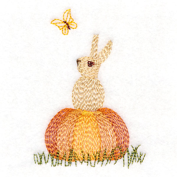 Adorable Pumpkin Bunny