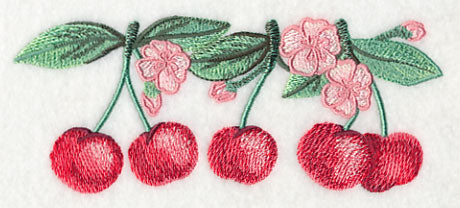 Cherry Blossoms Border in Watercolor