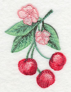 Cherry Blossoms in Watercolor